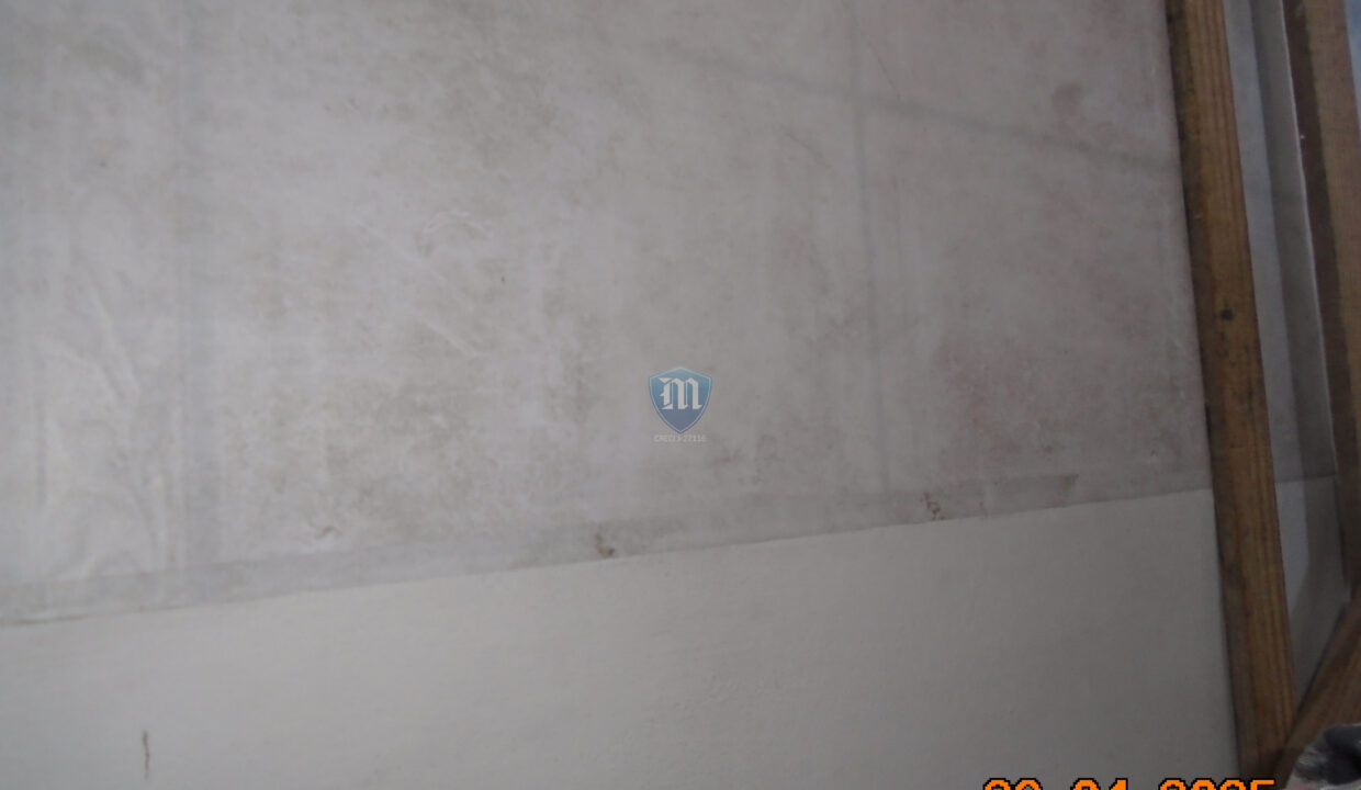 DSC00005
